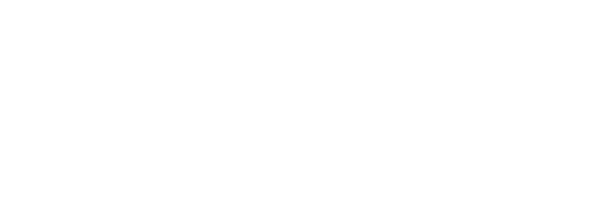 Statistik Austria